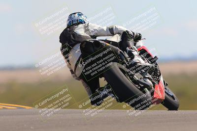 media/Oct-09-2022-SoCal Trackdays (Sun) [[95640aeeb6]]/Turn 9 Backside (120pm)/